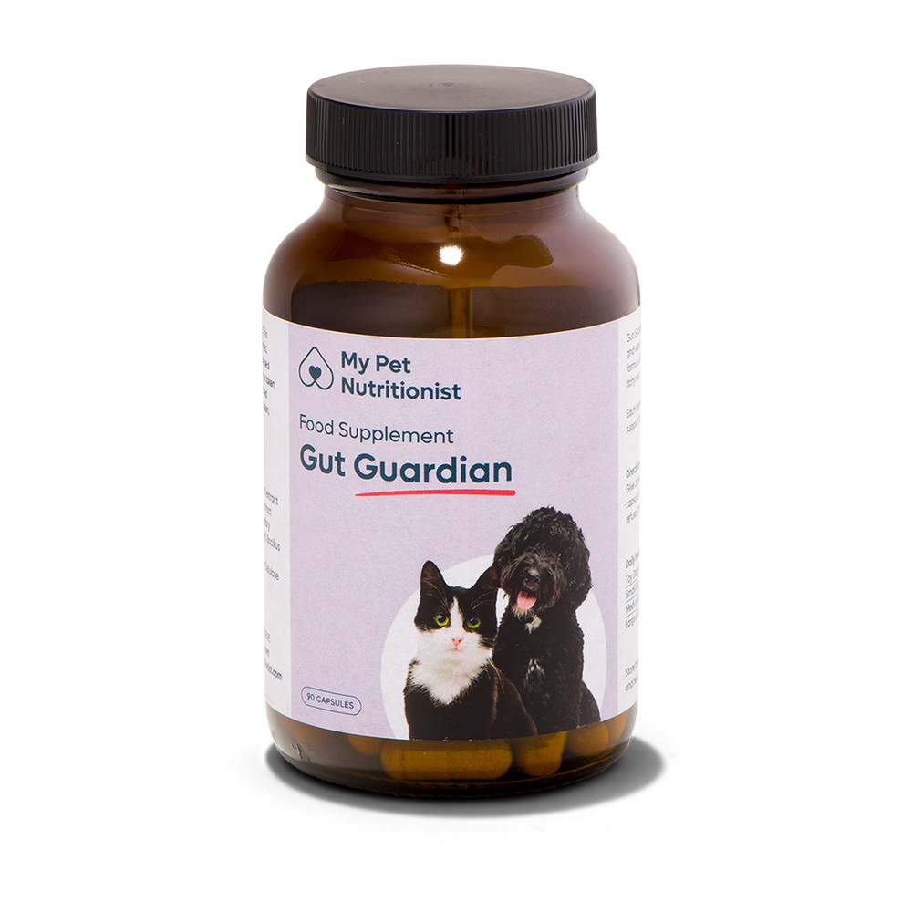 Gut Guardian - 1x Bottle image