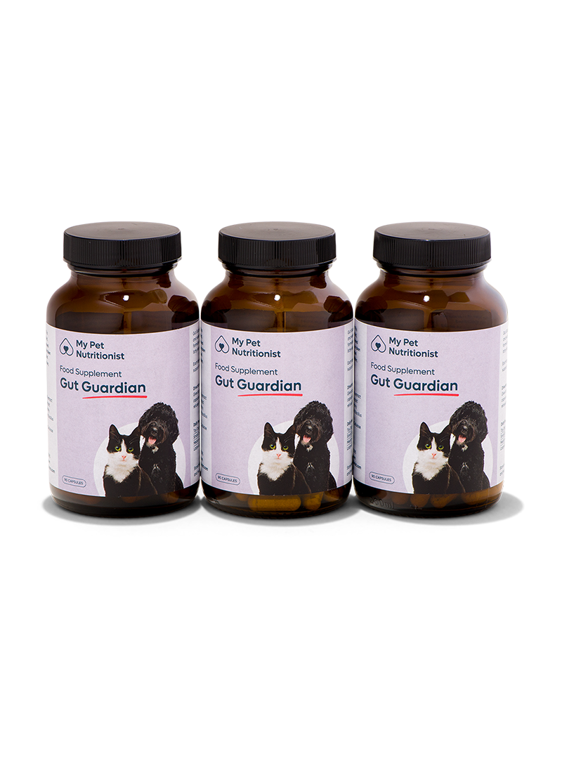 Gut Guardian - 3x Bottles image