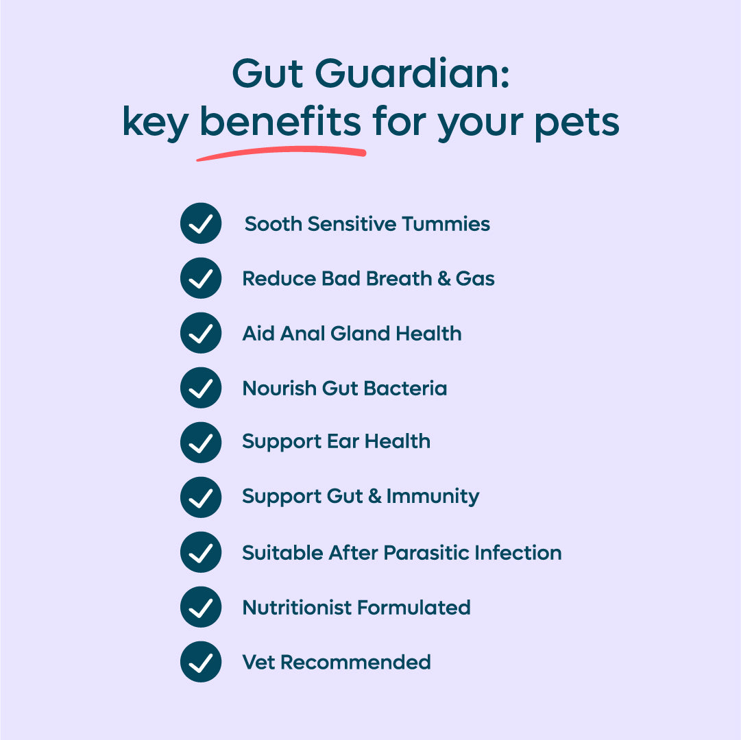 Gut Guardian image 2