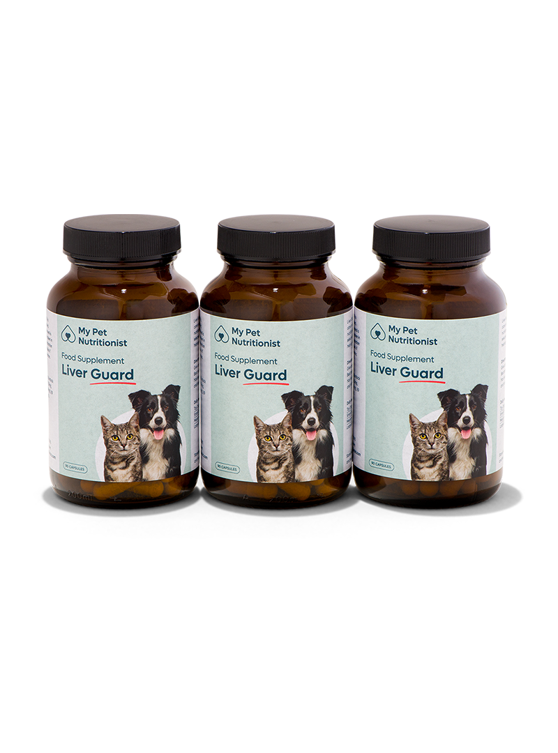 Liver Guard - 3x Bottles image