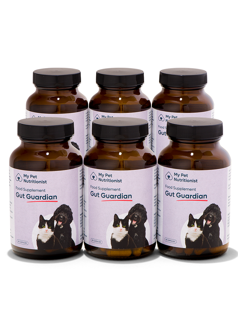 Gut Guardian - 6x Bottles image