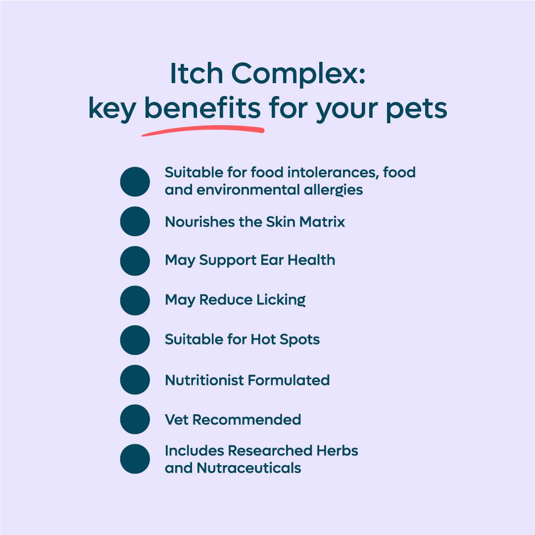 Itch Complex image 2