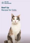 Beef Up for Cats (FREE)