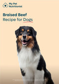 Braised Beef