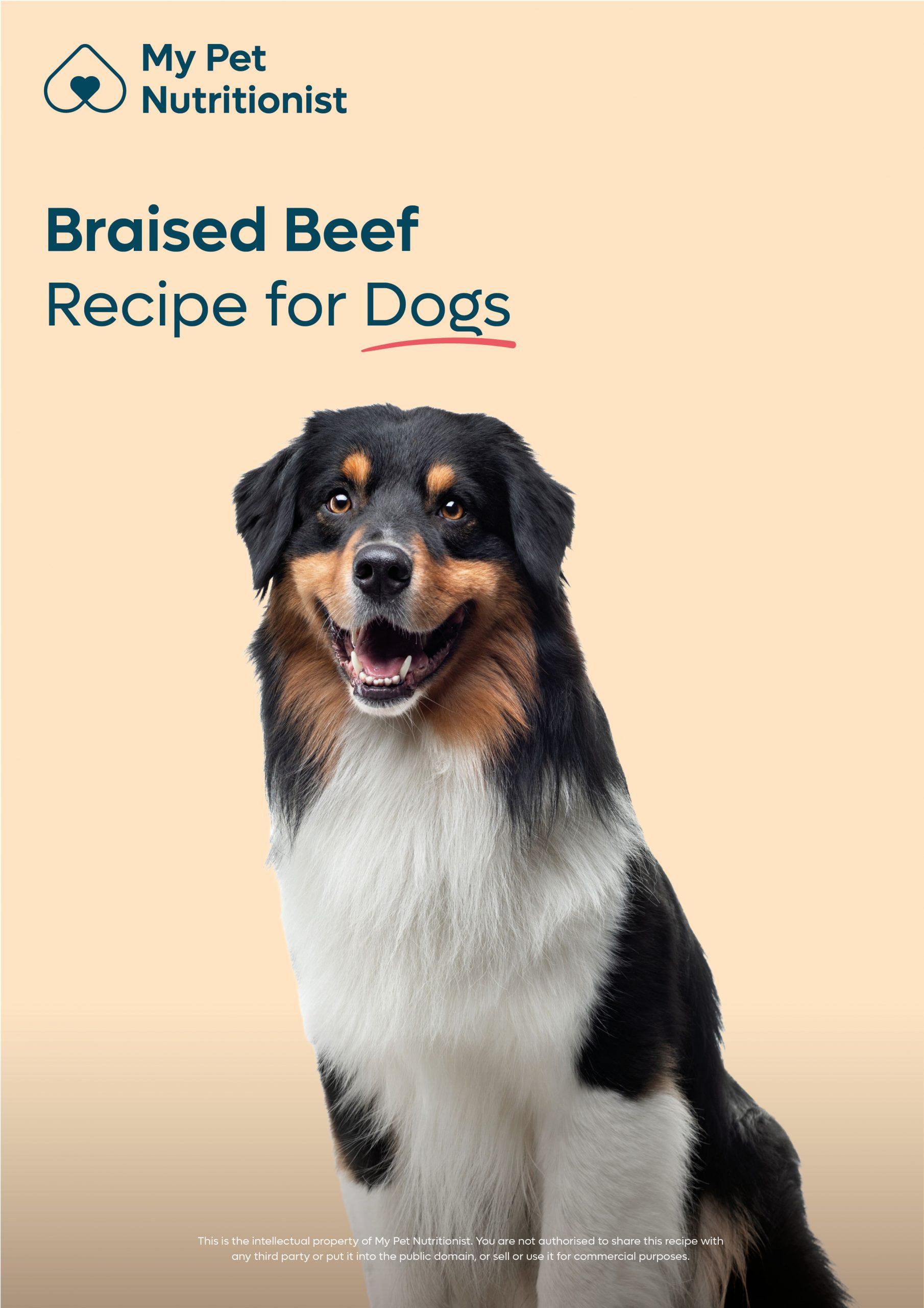 Braised Beef