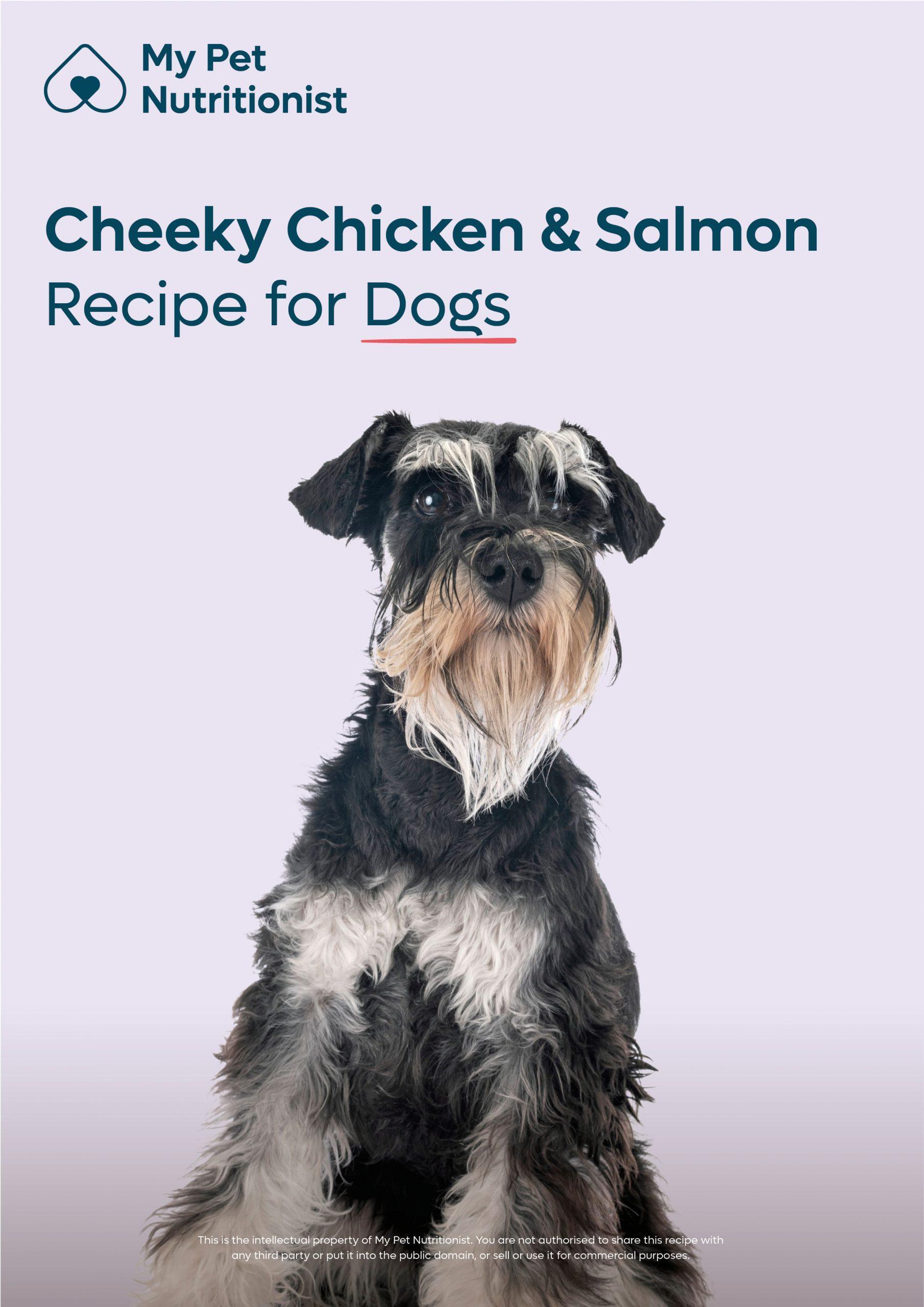 Cheeky Chicken & Salmon