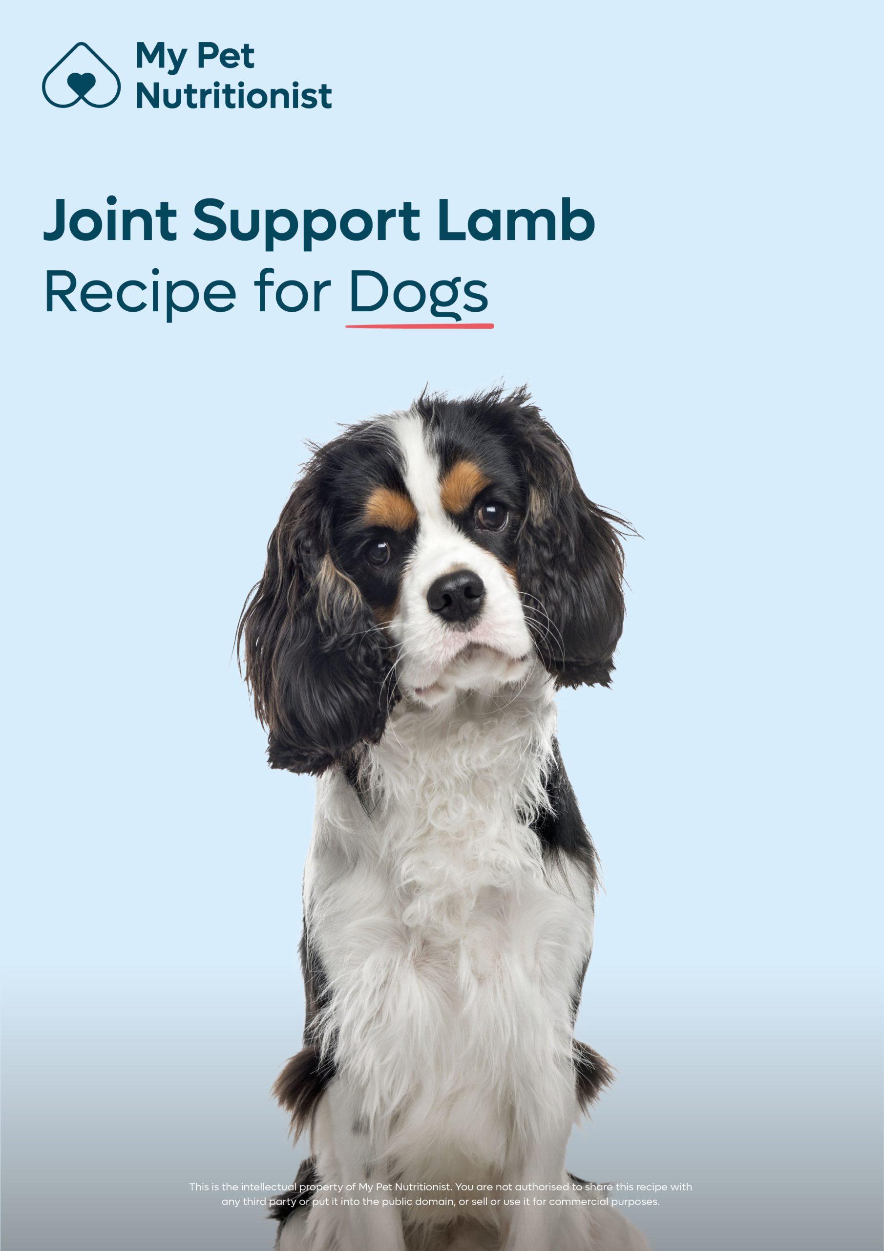 Joint Support Lamb