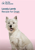Lovely Lamb