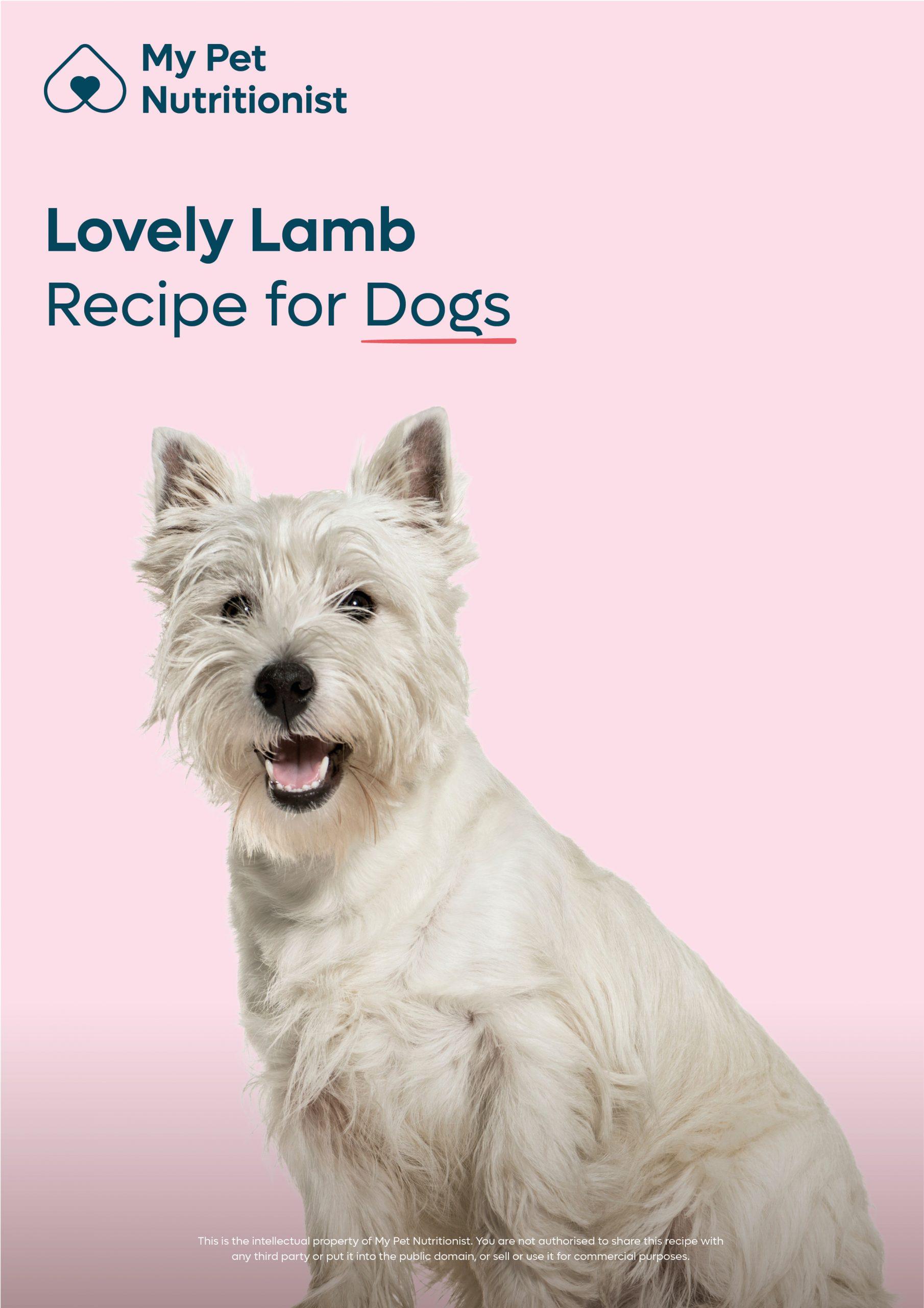 Lovely Lamb