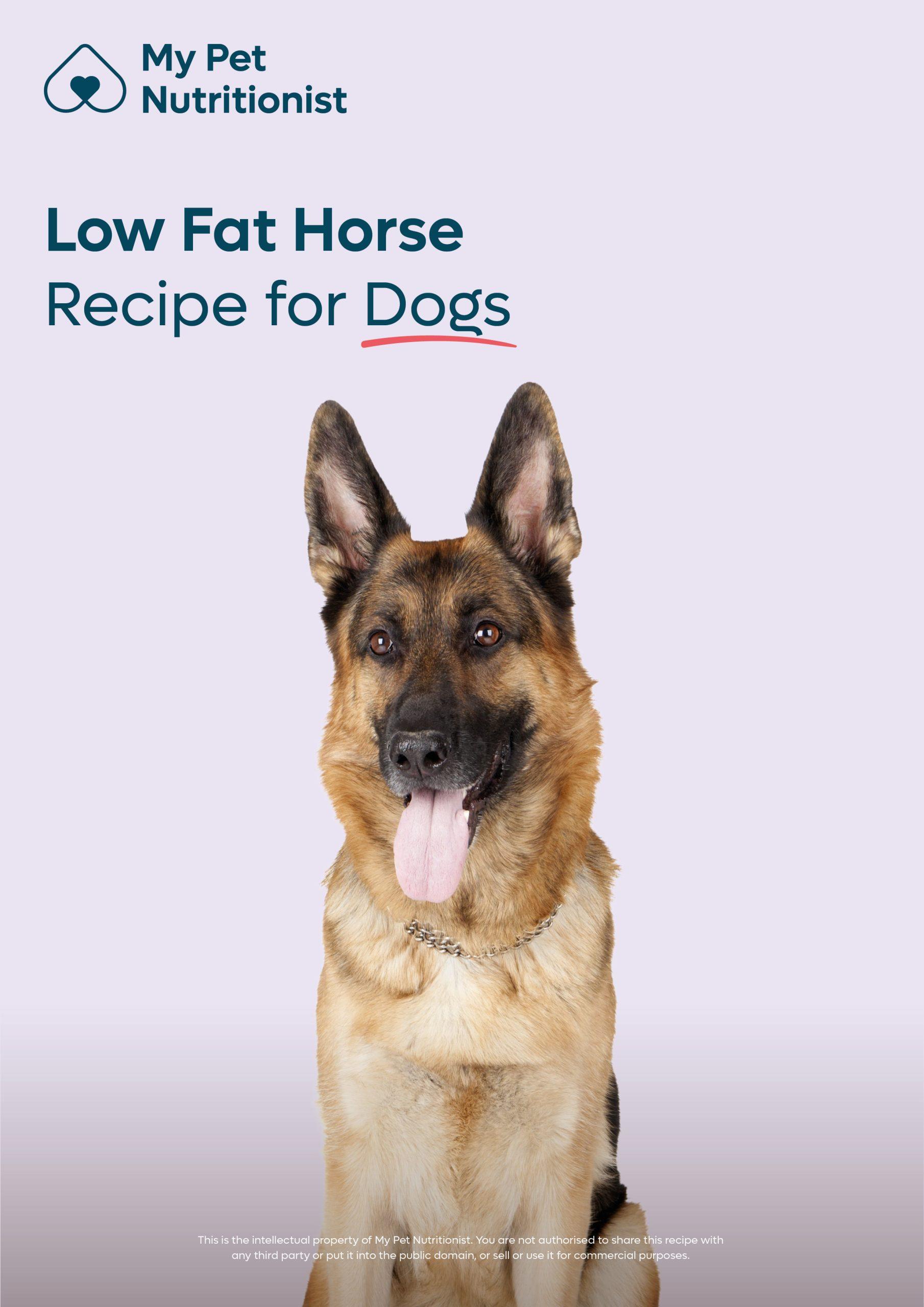 Low Fat Horse
