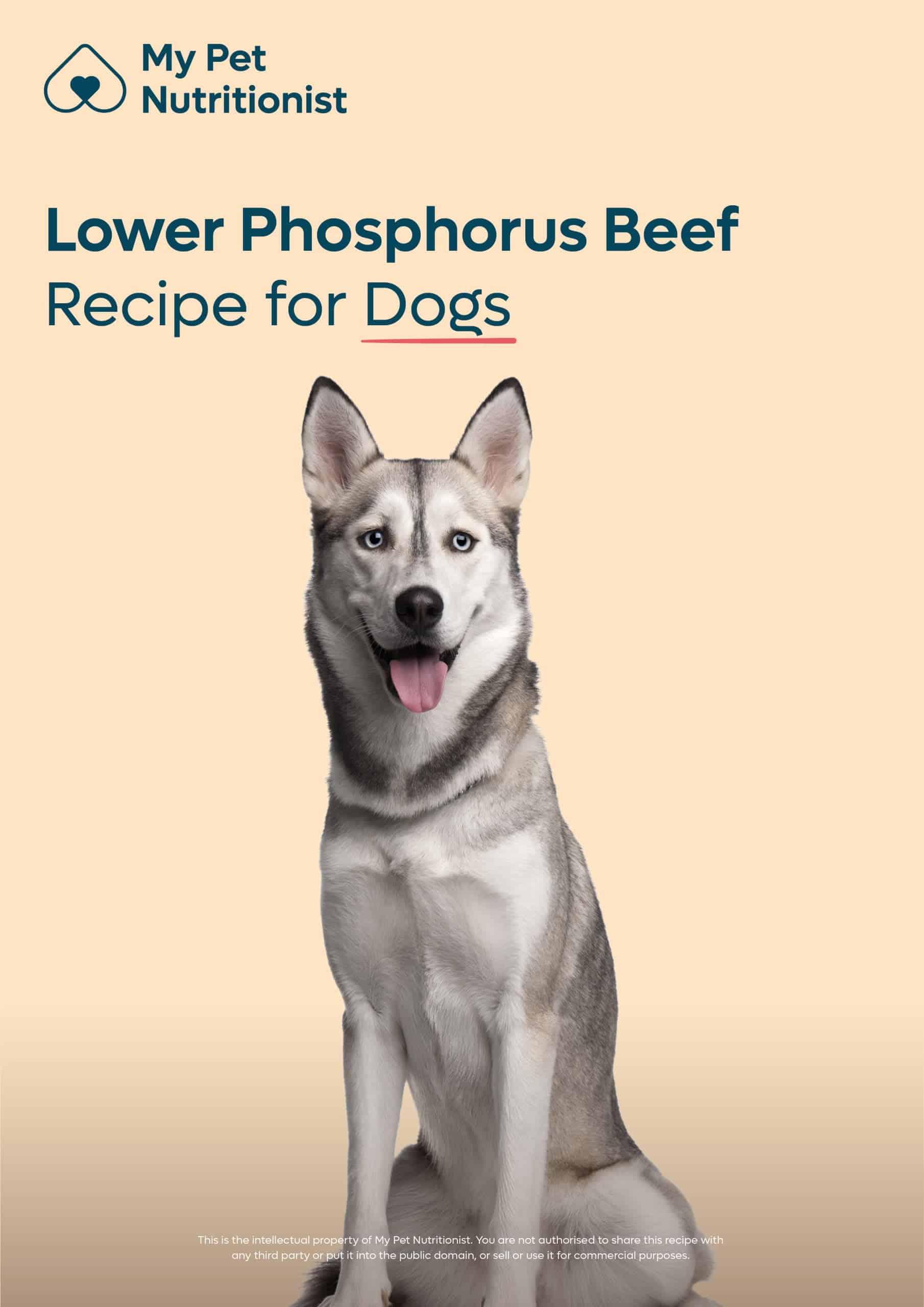 Lower Phosphorus Beef