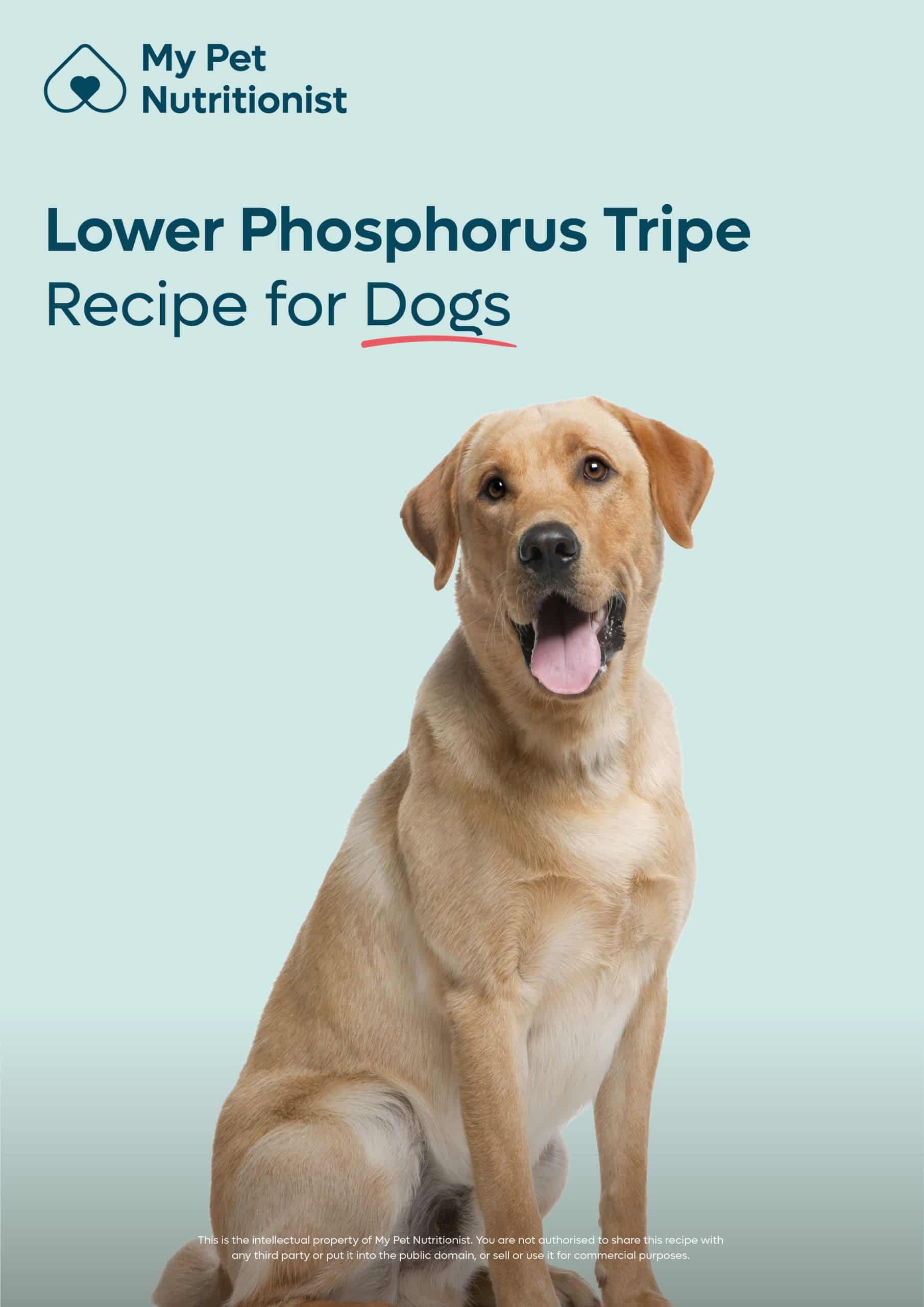 Lower Phosphorus Tripe