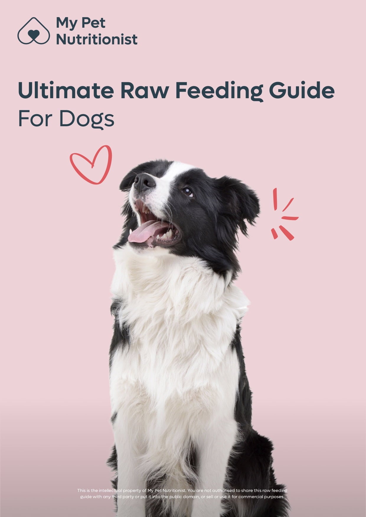 The Ultimate Raw Feeding Guide