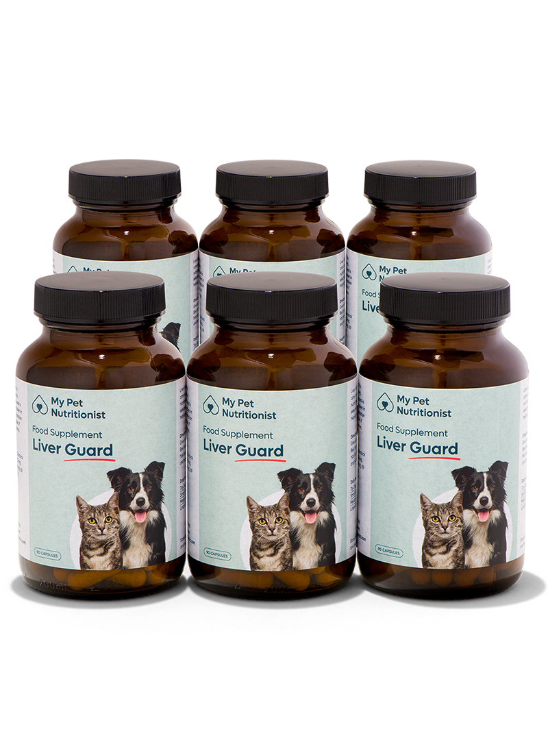 Liver Guard - 6x Bottles image