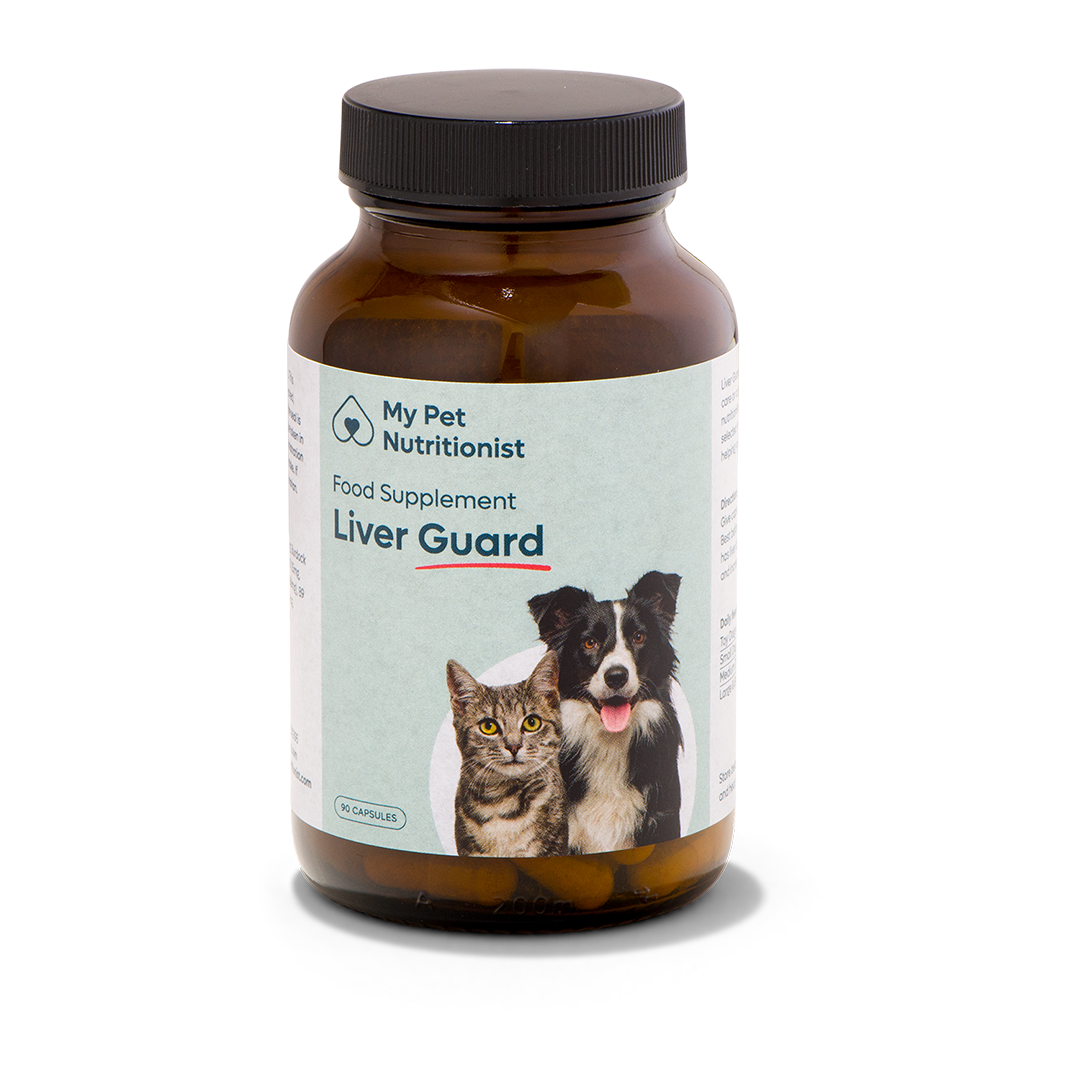 Liver Guard - 1x Bottle image