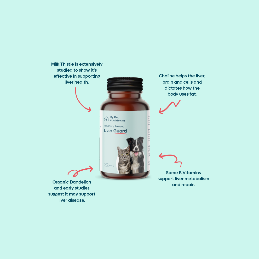 Liver Guard image 3