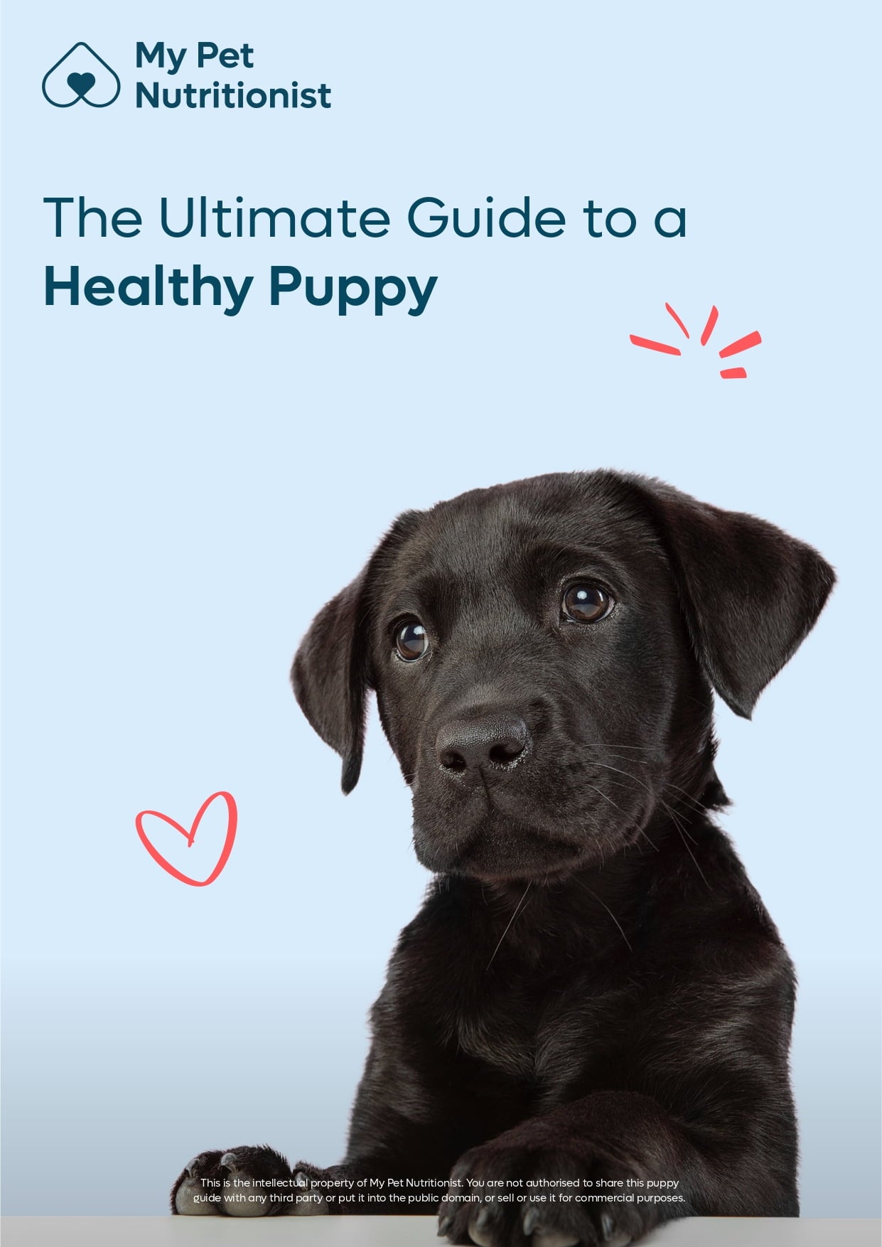 The Ultimate Guide to a Healthy Puppy